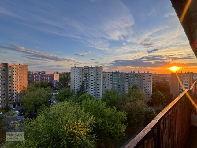 Mieszkanie Sprzedaż Warszawa Gołuchowska 1
